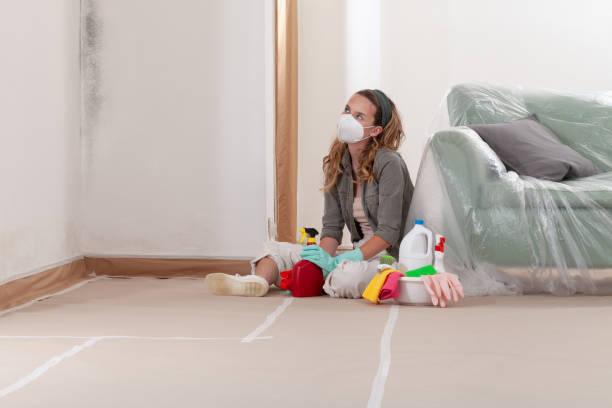Reliable Mold Remediation contractor in Elk Rapids, MI by WQB Mold Removal